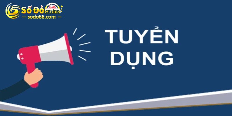 Các vị trí trong thông tin về tuyển dụng Sodo66