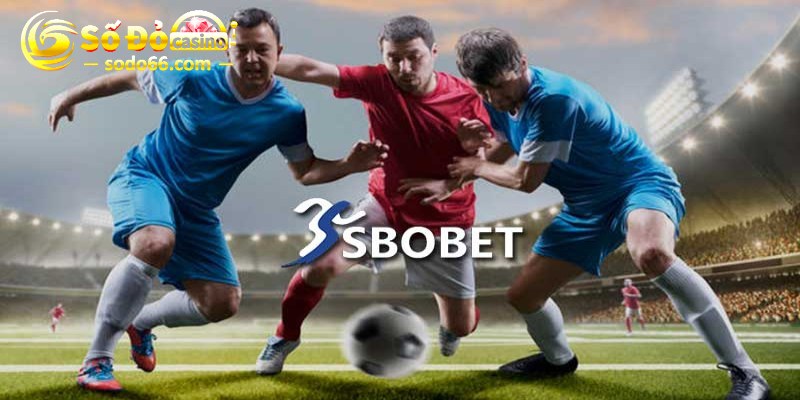 Nhà phát hành thể thao Sbobet uy tín