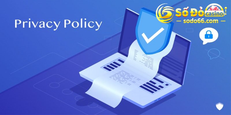 Tầm quan trọng của các điều khoản trong chính sách 