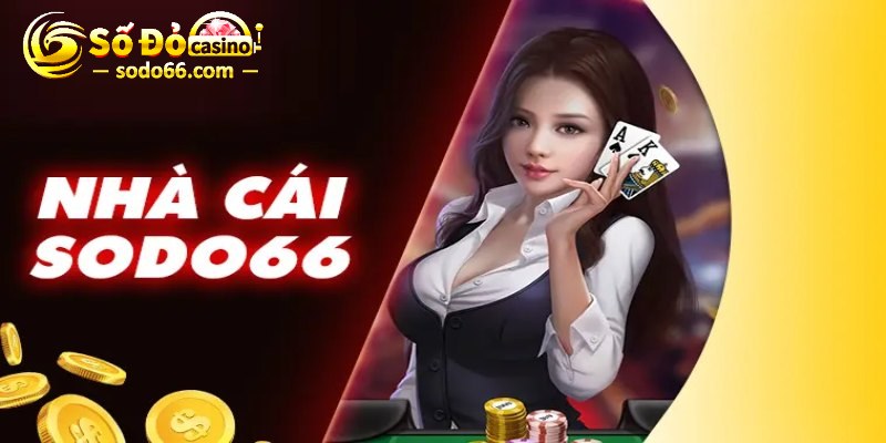 Tổng hợp những thành tựu đáng gờm 